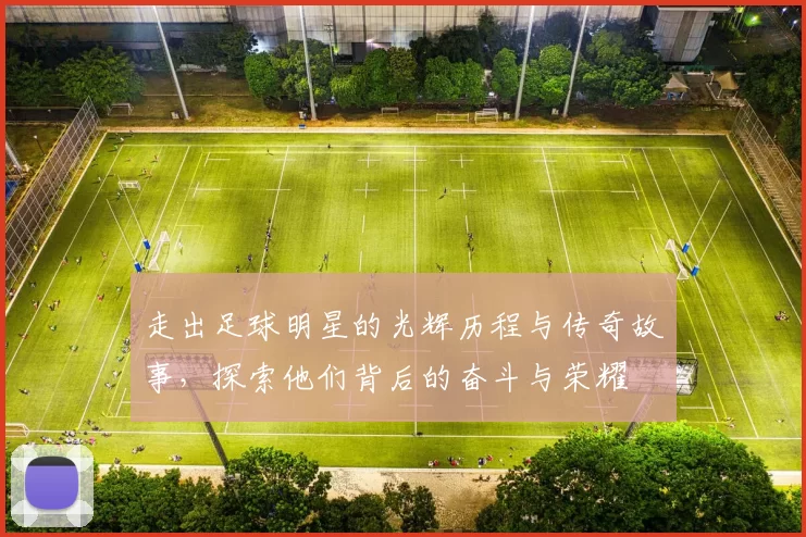 走出足球明星的光辉历程与传奇故事，探索他们背后的奋斗与荣耀