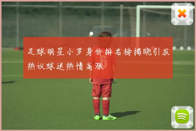 足球明星小罗身价排名榜揭晓引发热议球迷热情高涨