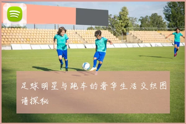 足球明星与跑车的奢华生活交织图谱探秘