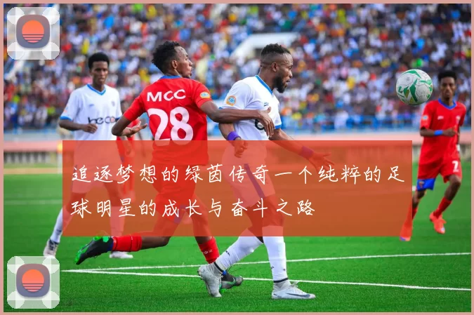 追逐梦想的绿茵传奇一个纯粹的足球明星的成长与奋斗之路