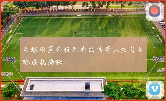 足球明星公仔巴乔的传奇人生与足球成就揭秘