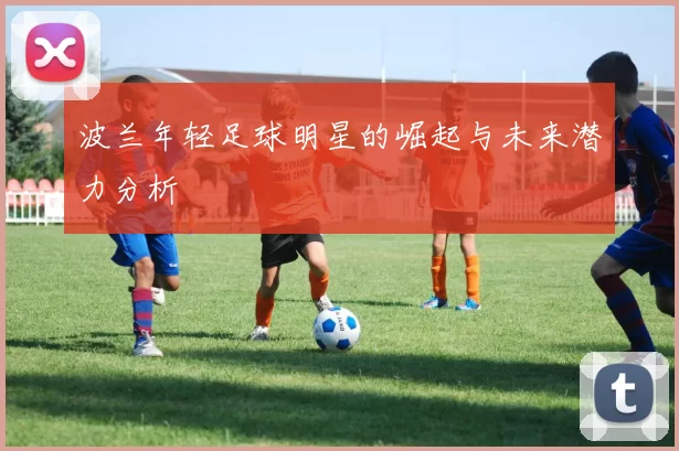 波兰年轻足球明星的崛起与未来潜力分析